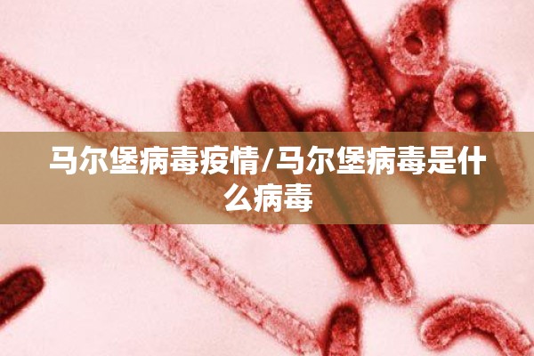 马尔堡病毒疫情/马尔堡病毒是什么病毒 马尔堡病毒疫情/马尔堡病毒是什么病毒