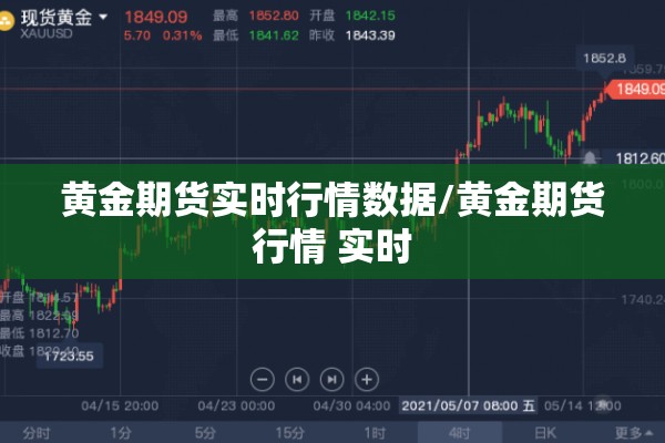 黄金期货实时行情数据/黄金期货行情 实时