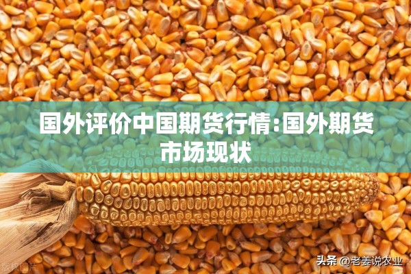 国外评价中国期货行情:国外期货市场现状 国外评价中国期货行情:国外期货市场现状