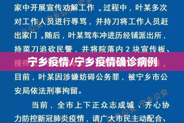 宁乡疫情/宁乡疫情确诊病例