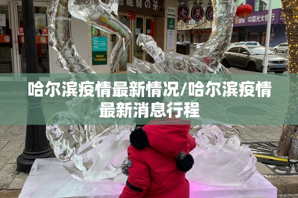 哈尔滨疫情最新情况/哈尔滨疫情最新消息行程