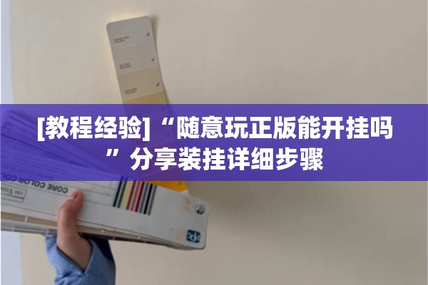 [教程经验]“随意玩正版能开挂吗	”分享装挂详细步骤