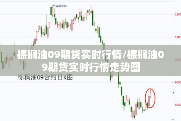 棕榈油09期货实时行情/棕榈油09期货实时行情走势图