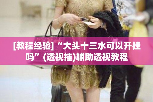 [教程经验]“大头十三水可以开挂吗”(透视挂)辅助透视教程