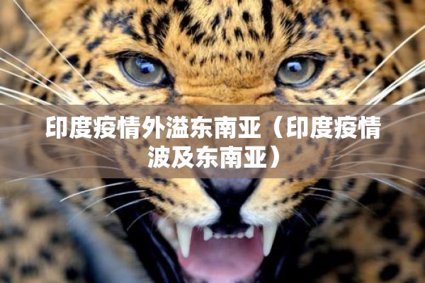 印度疫情外溢东南亚（印度疫情波及东南亚）