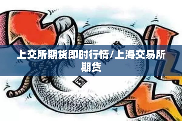 上交所期货即时行情/上海交易所期货