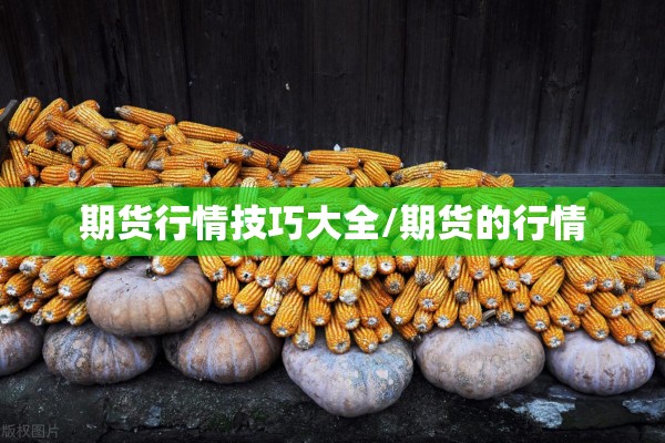 期货行情技巧大全/期货的行情