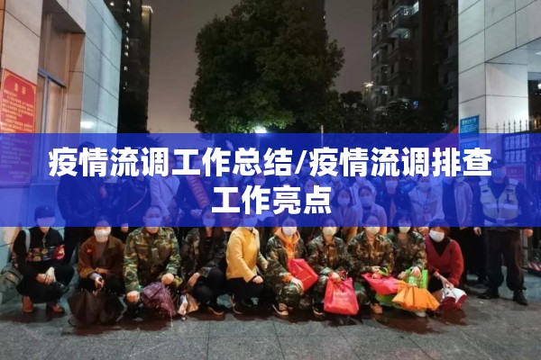 疫情流调工作总结/疫情流调排查工作亮点