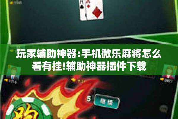 玩家辅助神器:手机微乐麻将怎么看有挂!辅助神器插件下载