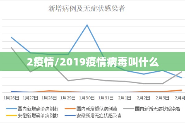 2疫情/2019疫情病毒叫什么