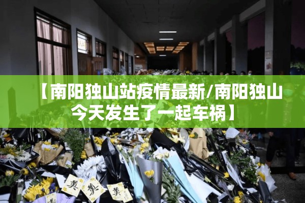 【南阳独山站疫情最新/南阳独山今天发生了一起车祸】