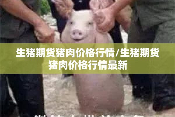 生猪期货猪肉价格行情/生猪期货猪肉价格行情最新