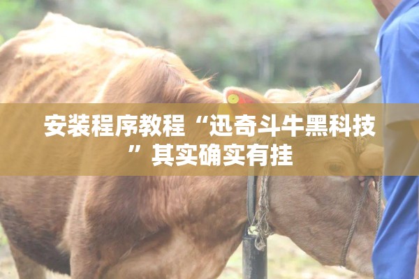 安装程序教程“迅奇斗牛黑科技”其实确实有挂