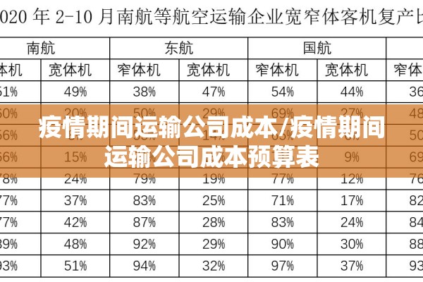 疫情期间运输公司成本/疫情期间运输公司成本预算表