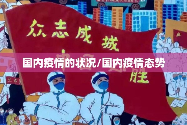 国内疫情的状况/国内疫情态势 国内疫情的状况/国内疫情态势