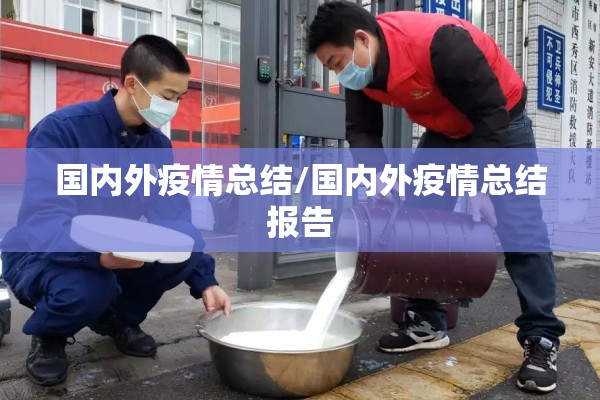 国内外疫情总结/国内外疫情总结报告
