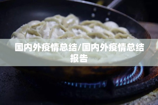 国内外疫情总结/国内外疫情总结报告