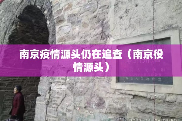 南京疫情源头仍在追查（南京役情源头）