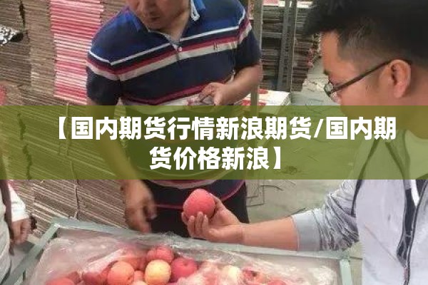 【国内期货行情新浪期货/国内期货价格新浪】