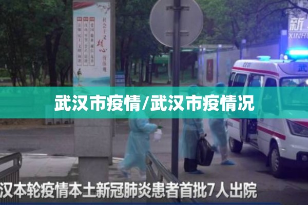 武汉市疫情/武汉市疫情况