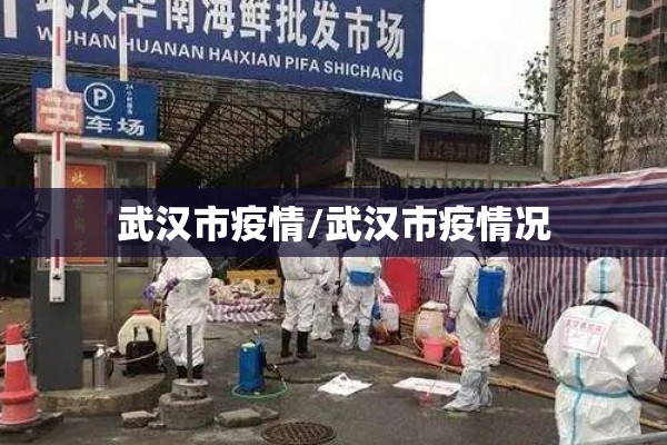 武汉市疫情/武汉市疫情况