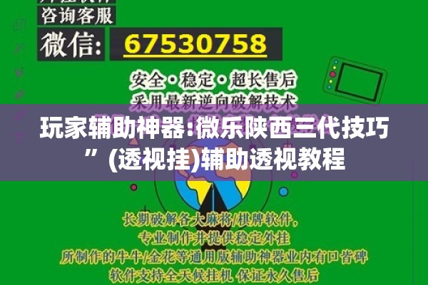 玩家辅助神器:微乐陕西三代技巧	”(透视挂)辅助透视教程