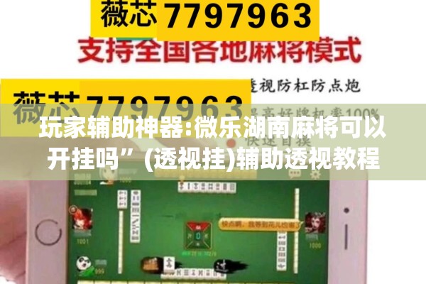 玩家辅助神器:微乐湖南麻将可以开挂吗	”(透视挂)辅助透视教程