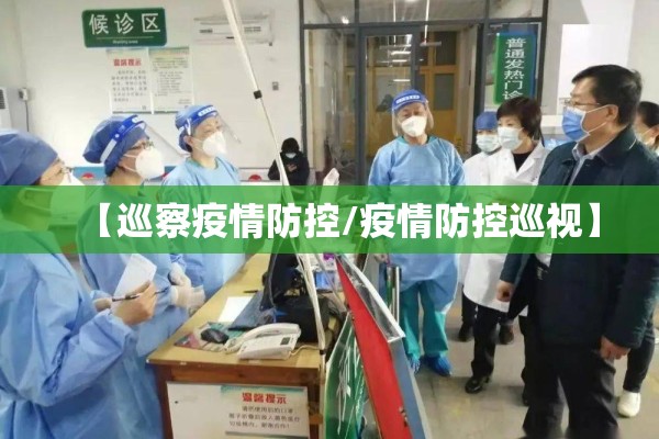 【巡察疫情防控/疫情防控巡视】