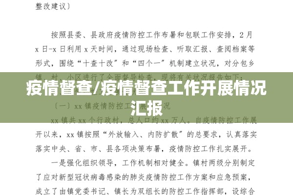 疫情督查/疫情督查工作开展情况汇报