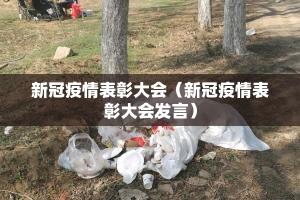 新冠疫情表彰大会（新冠疫情表彰大会发言）