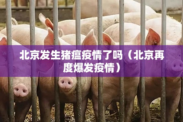 北京发生猪瘟疫情了吗（北京再度爆发疫情）