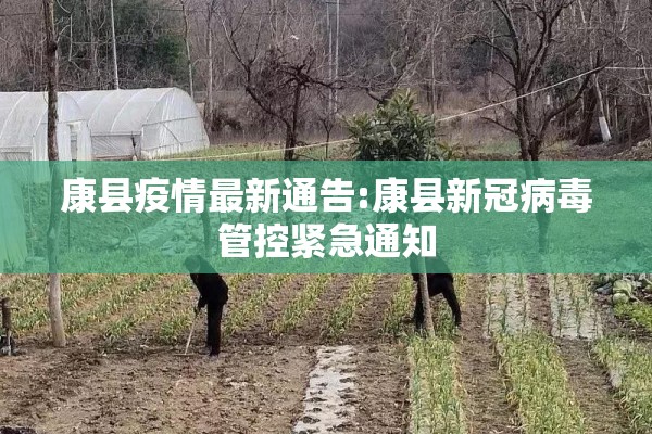 康县疫情最新通告:康县新冠病毒管控紧急通知