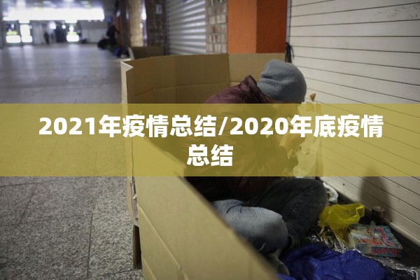 2021年疫情总结/2020年底疫情总结
