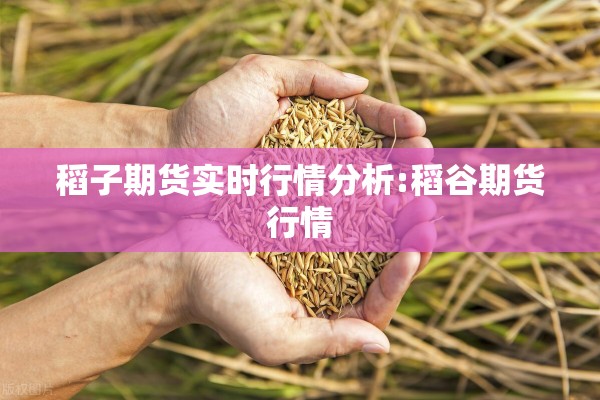 稻子期货实时行情分析:稻谷期货行情 稻子期货实时行情分析:稻谷期货行情