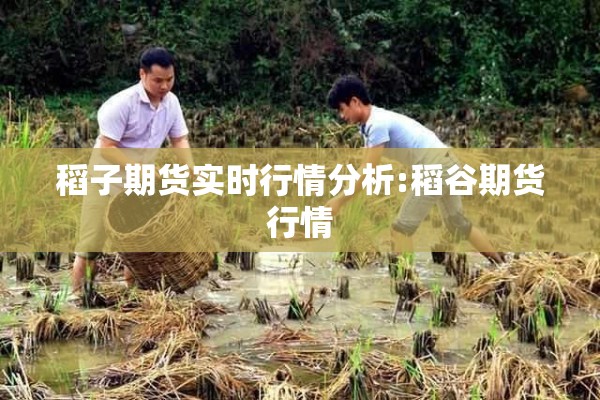 稻子期货实时行情分析:稻谷期货行情 稻子期货实时行情分析:稻谷期货行情