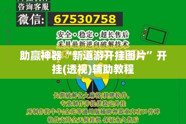 助赢神器“新道游开挂图片”开挂(透视)辅助教程