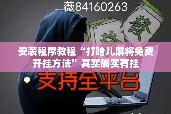 安装程序教程“打哈儿麻将免费开挂方法”其实确实有挂