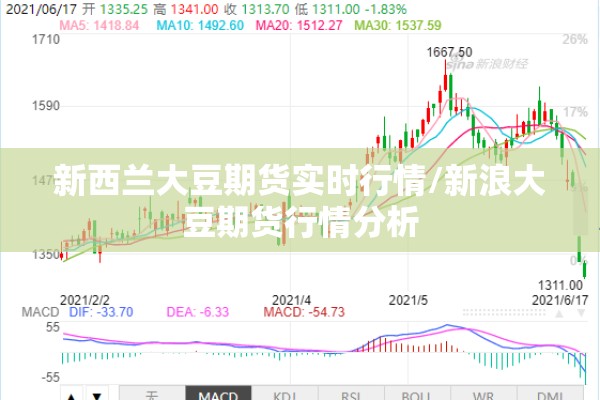 新西兰大豆期货实时行情/新浪大豆期货行情分析 新西兰大豆期货实时行情/新浪大豆期货行情分析