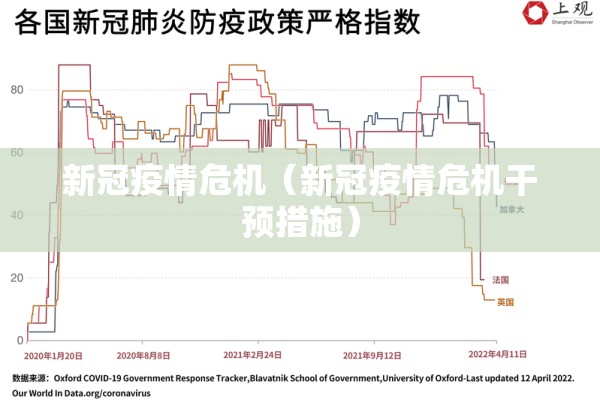 新冠疫情危机（新冠疫情危机干预措施）