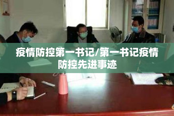 疫情防控第一书记/第一书记疫情防控先进事迹 疫情防控第一书记/第一书记疫情防控先进事迹