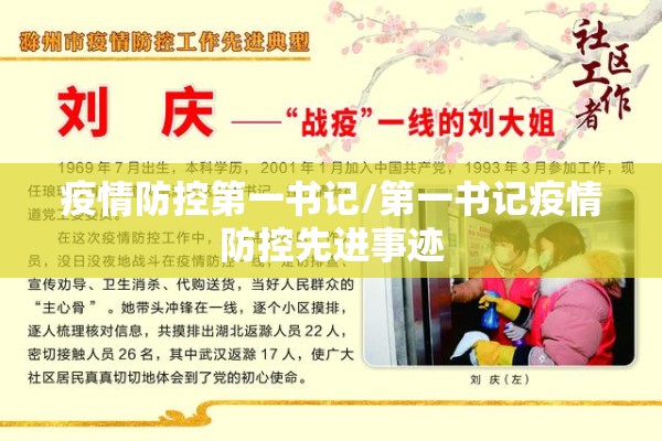 疫情防控第一书记/第一书记疫情防控先进事迹 疫情防控第一书记/第一书记疫情防控先进事迹