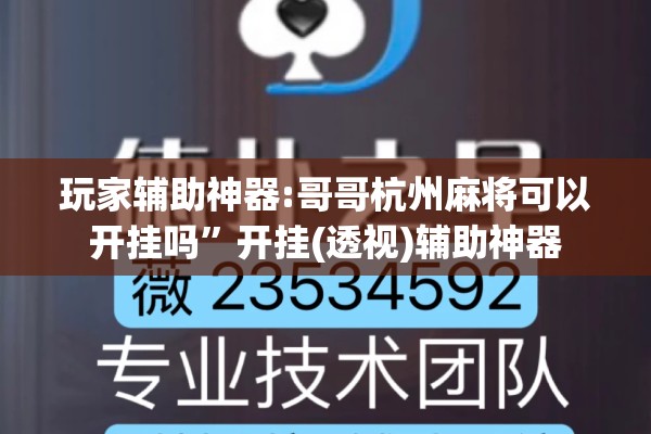 玩家辅助神器:哥哥杭州麻将可以开挂吗”开挂(透视)辅助神器