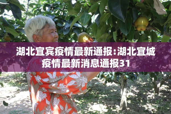 湖北宜宾疫情最新通报:湖北宜城疫情最新消息通报31 湖北宜宾疫情最新通报:湖北宜城疫情最新消息通报31
