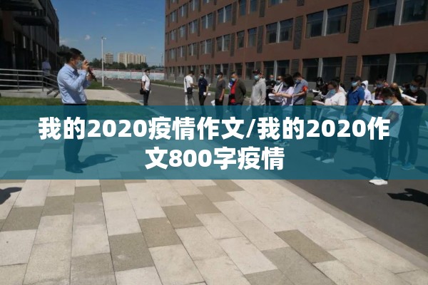 我的2020疫情作文/我的2020作文800字疫情