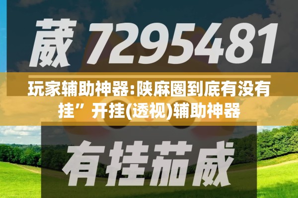 玩家辅助神器:陕麻圈到底有没有挂	”开挂(透视)辅助神器