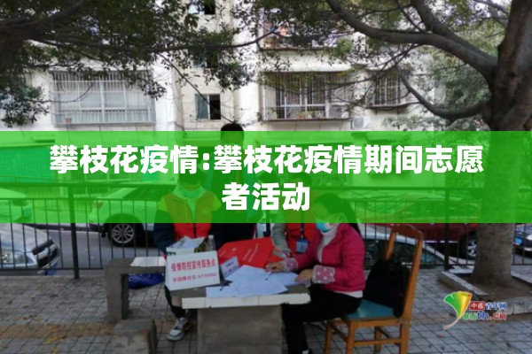 攀枝花疫情:攀枝花疫情期间志愿者活动