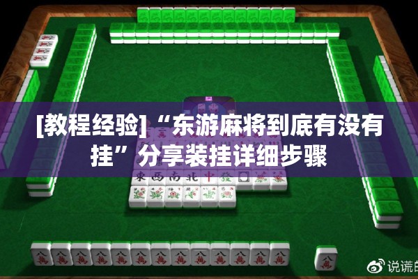 [教程经验]“东游麻将到底有没有挂”分享装挂详细步骤