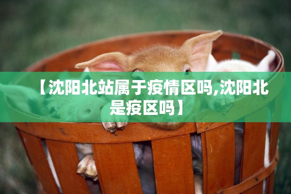 【沈阳北站属于疫情区吗,沈阳北是疫区吗】 【沈阳北站属于疫情区吗,沈阳北是疫区吗】
