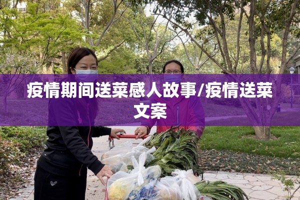 疫情期间送菜感人故事/疫情送菜文案