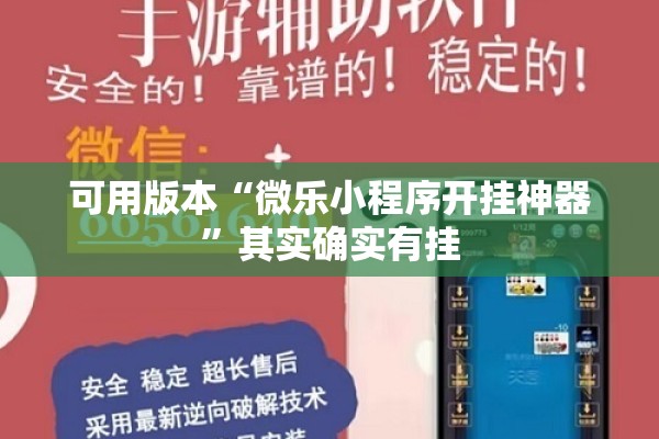 可用版本“微乐小程序开挂神器”其实确实有挂